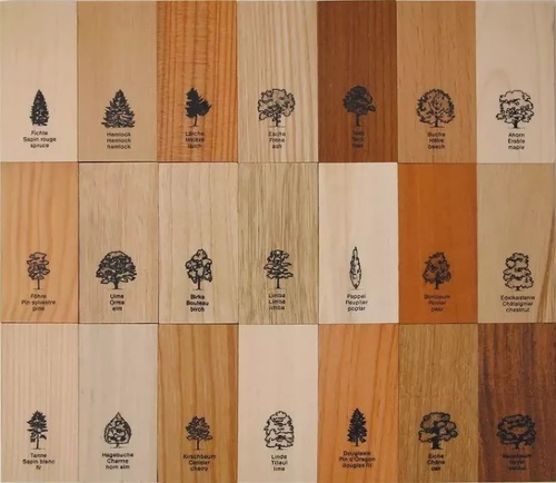 Виды древесины для мебели