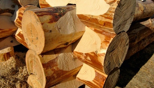 Канадская технология рубки деревянных домов